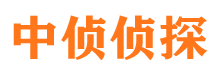 杜集侦探公司